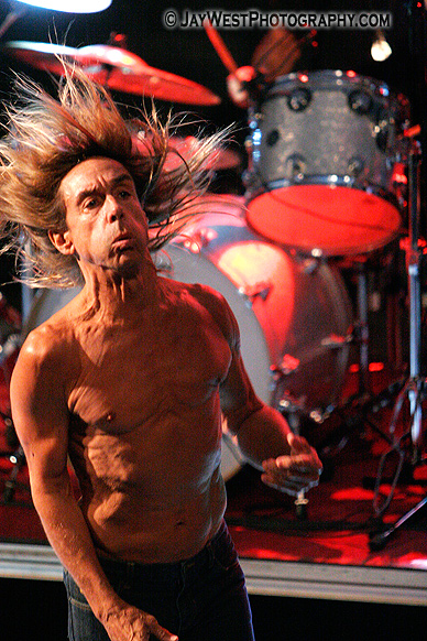 Iggy Pop