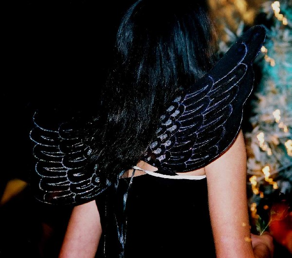 Angel Wings