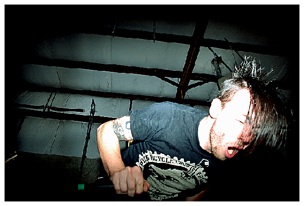 Cancer Bats