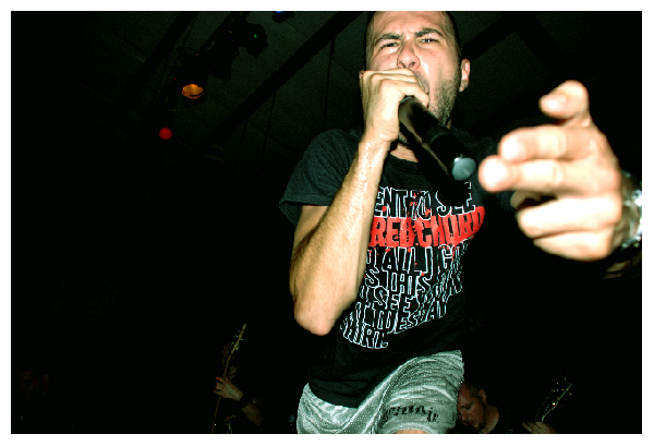 Despised Icon