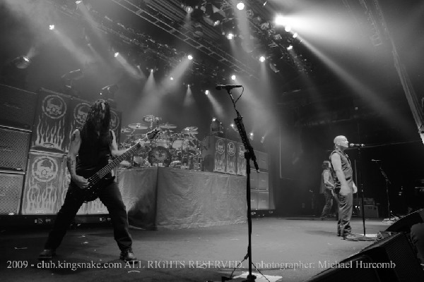 Disturbed