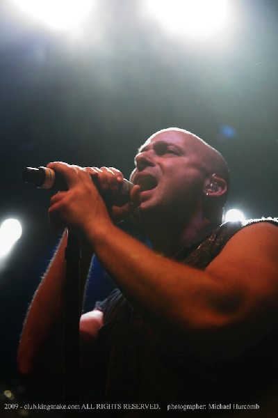 Disturbed