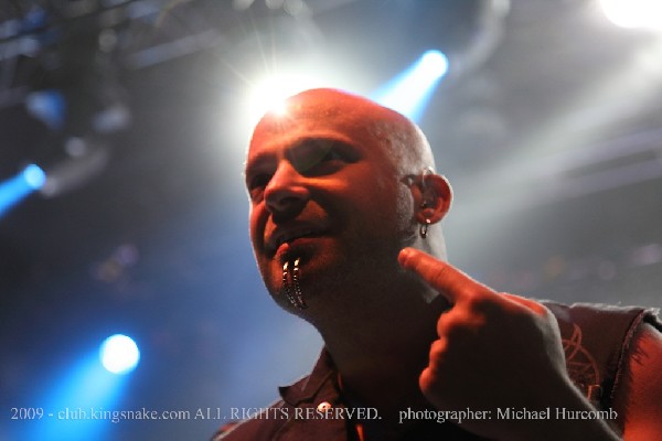Disturbed
