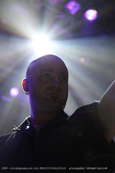 Disturbed