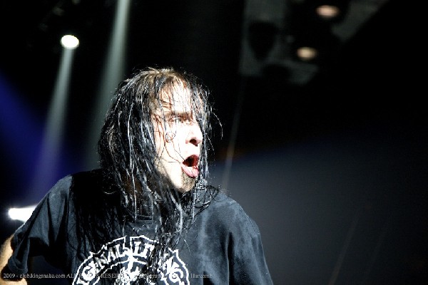 Lamb Of God