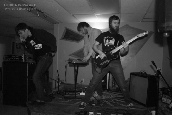 Sailboats are White at the Underdog. Peterborough, Ontario