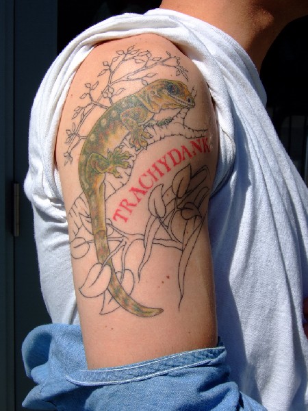 Tattoos from NARBC Anaheim 2006