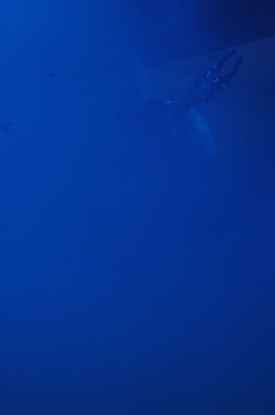 Slayer at The Verizon Wireless Amphitheater, San Antonio, Texas