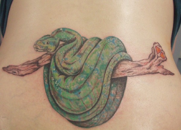 Chondro Tat