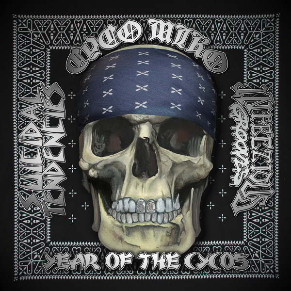 Year of the Cyco